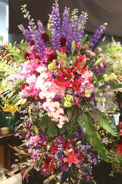 �X�^���h�� �L����